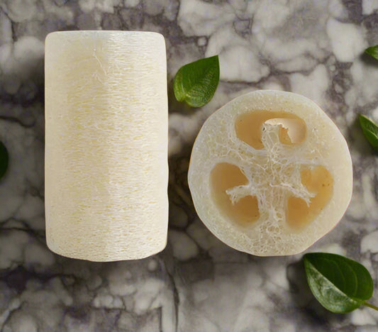 Two loofah sponges, one cylindrical and one round with cutouts, with measurements indicated.