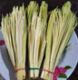 Fruits & vegetables | Pacaya, Chapaya, Tepejilotes en salmuera | 375gr