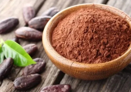 Dried cacao powder organic from South America
