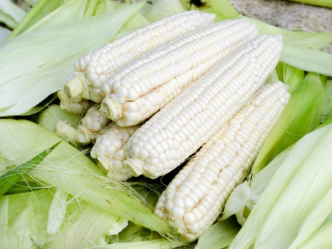 Fruits FRESH corn Maize order (3 units) Elote tierno.