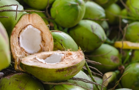 Fruits | Fresh Coconut | Unit