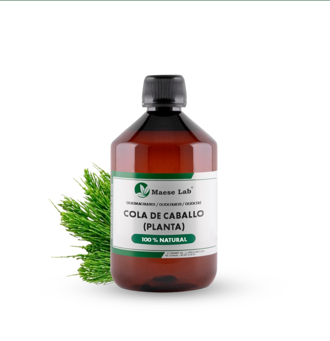 Home | Hair growth oil |Herbal oil | Cola de caballo plant