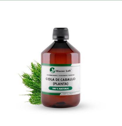 Home | Hair growth oil |Herbal oil | Cola de caballo plant