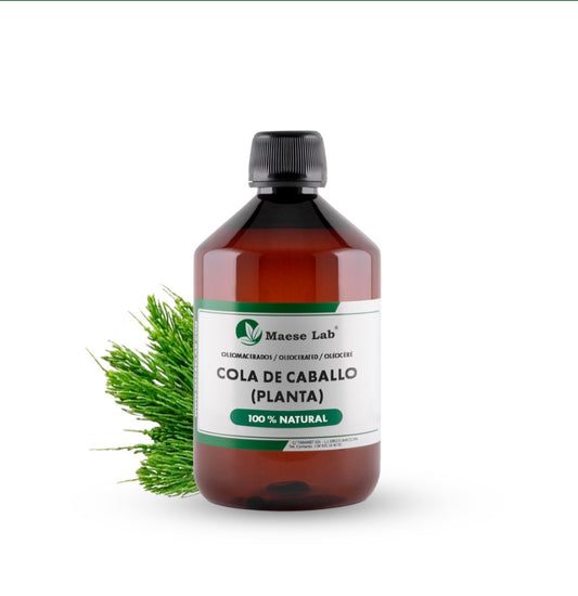 Home | Hair growth oil |Herbal oil | Cola de caballo plant